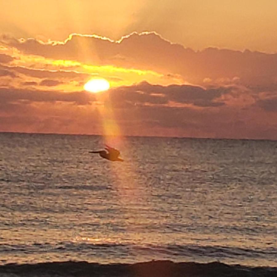 Pal'S On The Beach - Dangriga, Belize Екстер'єр фото