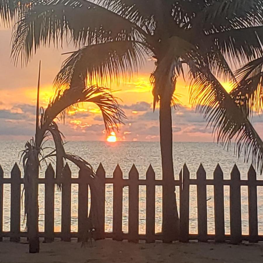 Pal'S On The Beach - Dangriga, Belize Екстер'єр фото