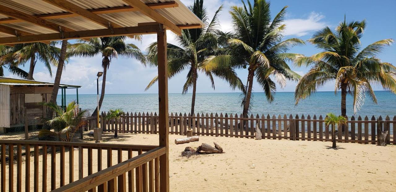 Pal'S On The Beach - Dangriga, Belize Екстер'єр фото