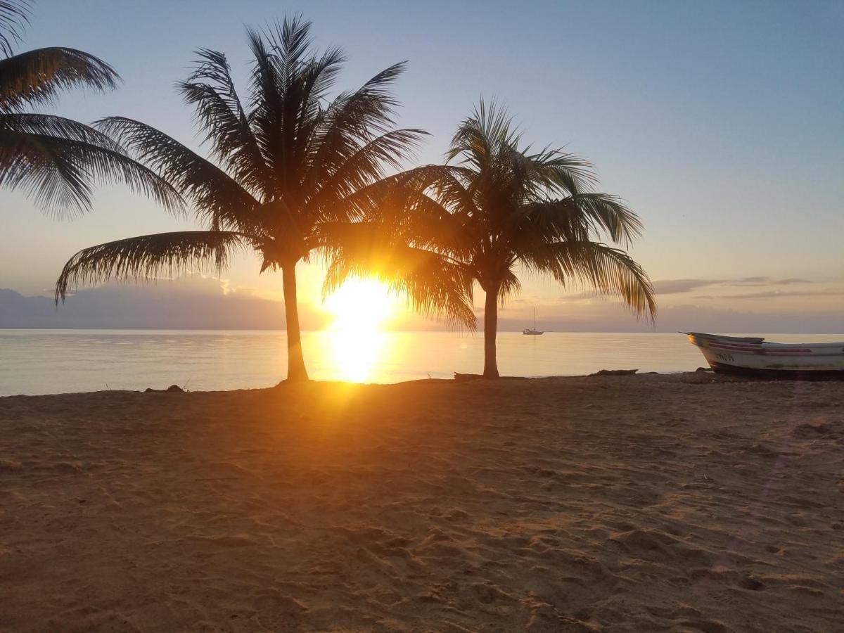 Pal'S On The Beach - Dangriga, Belize Екстер'єр фото