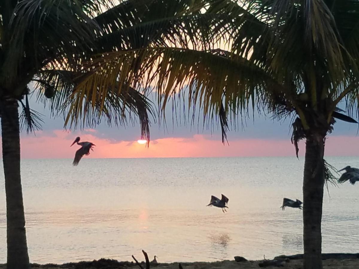 Pal'S On The Beach - Dangriga, Belize Екстер'єр фото