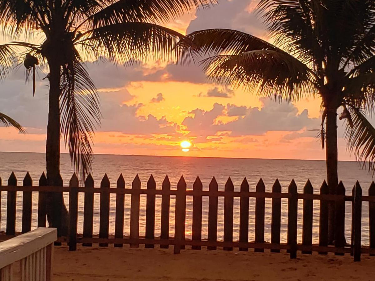 Pal'S On The Beach - Dangriga, Belize Екстер'єр фото