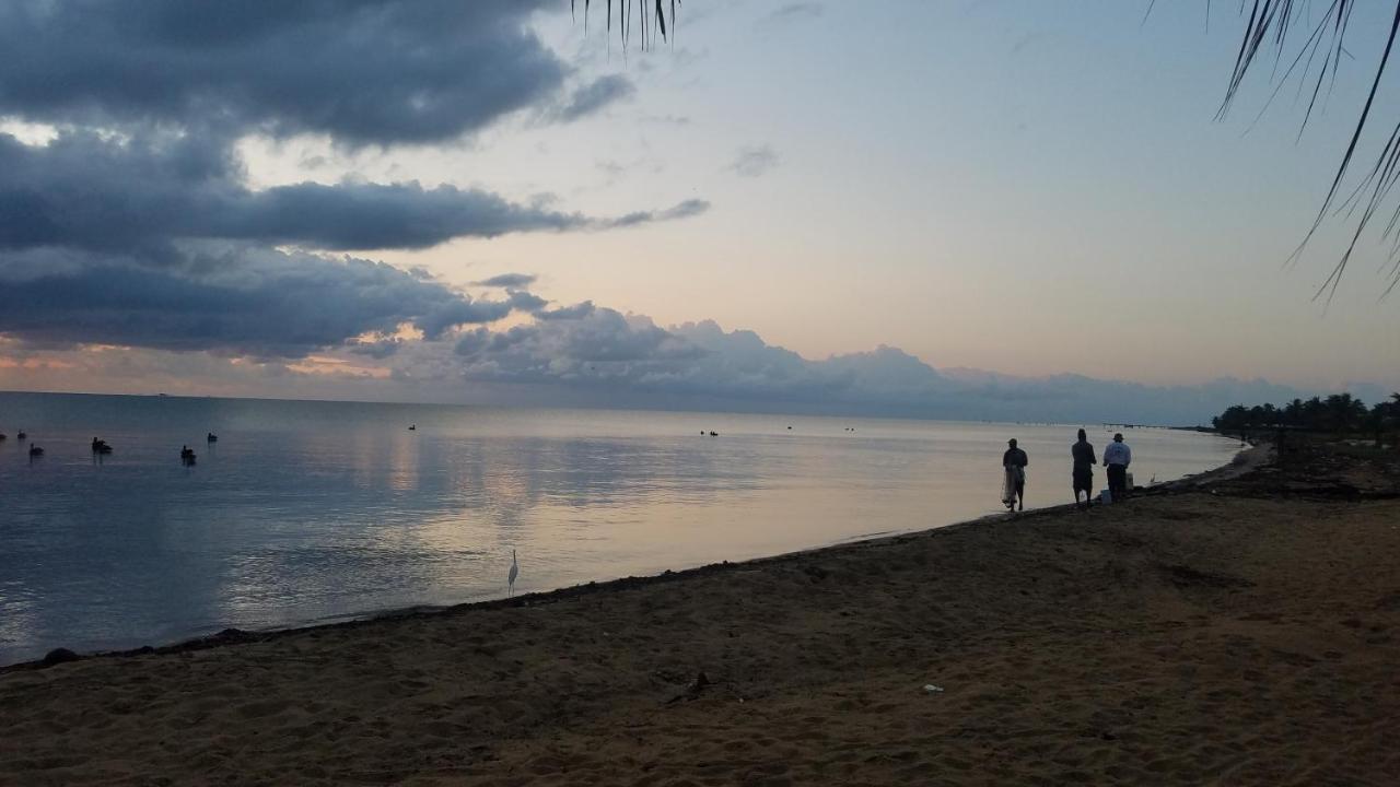 Pal'S On The Beach - Dangriga, Belize Екстер'єр фото